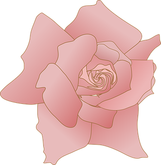 Rose Png 331 X 340