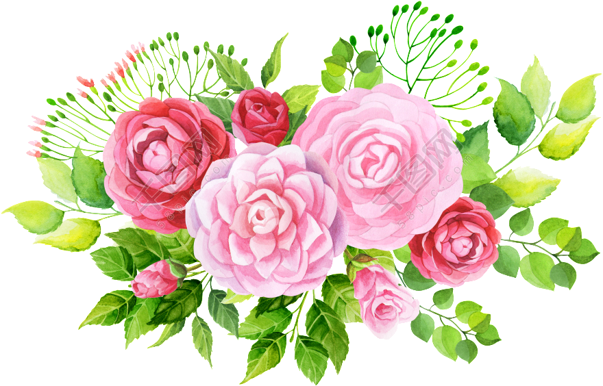 Rose Flower Vector Png 880 X 564