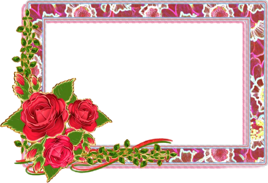 Rose Frame Png 876 X 600