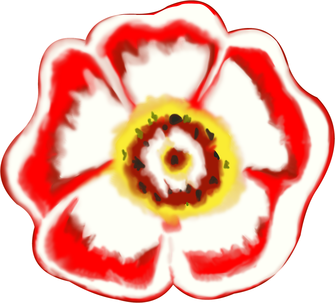 A Red And White Flower