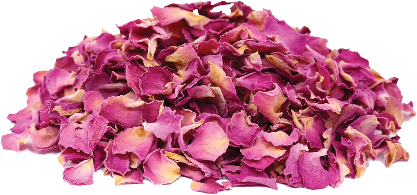 Rose Petals Png 1379 X 646