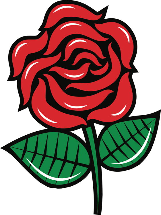 Rose Petals Png 561 X 750