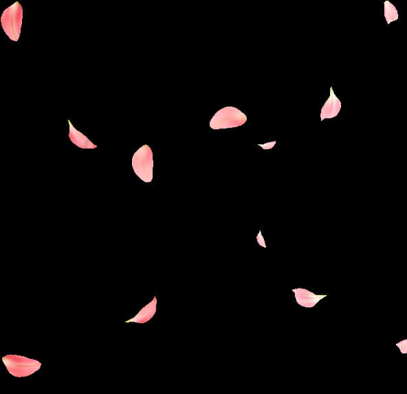 Rose Petals Png - Bafix, Transparent Png