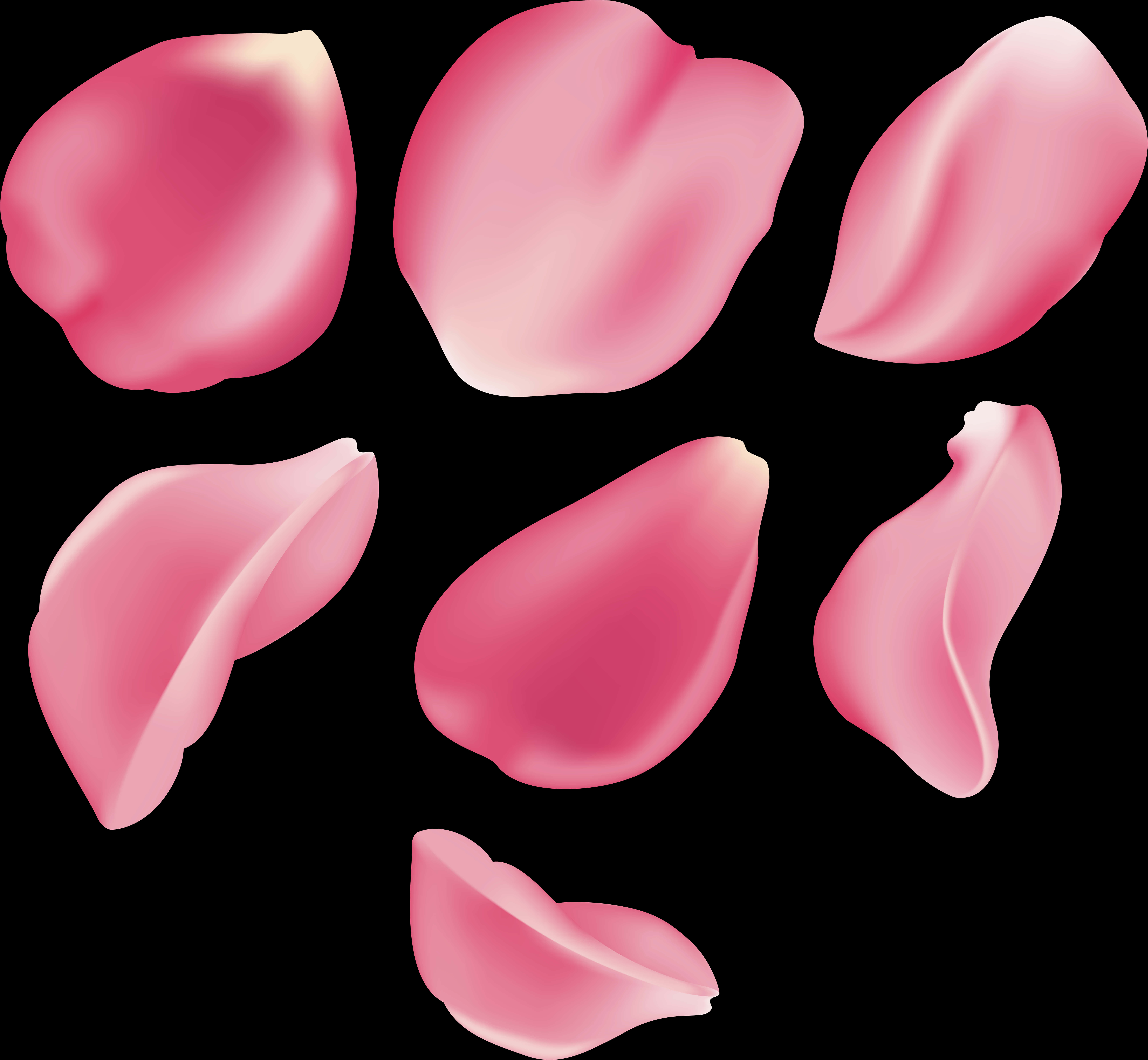 A Group Of Pink Petals