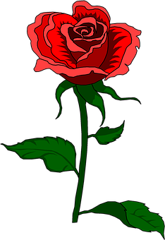 Rose Png 234 X 340