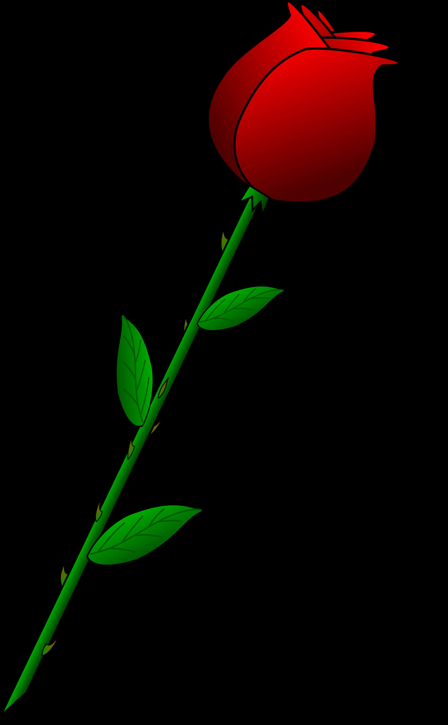 Rose Png 1484 X 2400