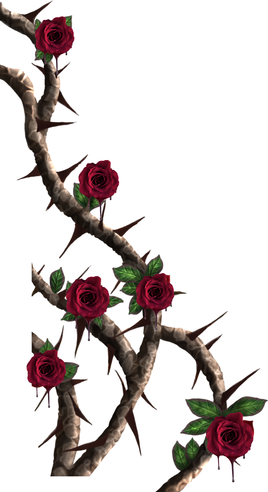 A Vine With Thorns And Roses