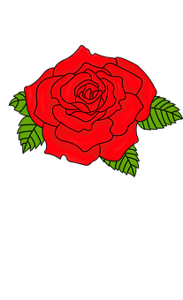 Rose Png 207 X 340