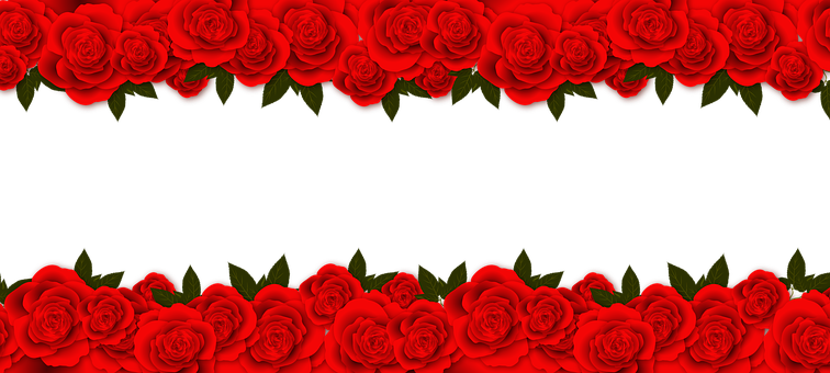 A Red Roses On A Black Background