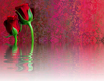 A Pair Of Red Roses In Water