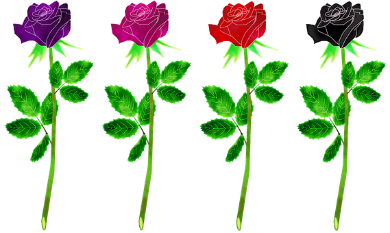 A Group Of Roses With Green Leaves