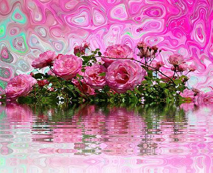 A Group Of Pink Roses On A Pink Background