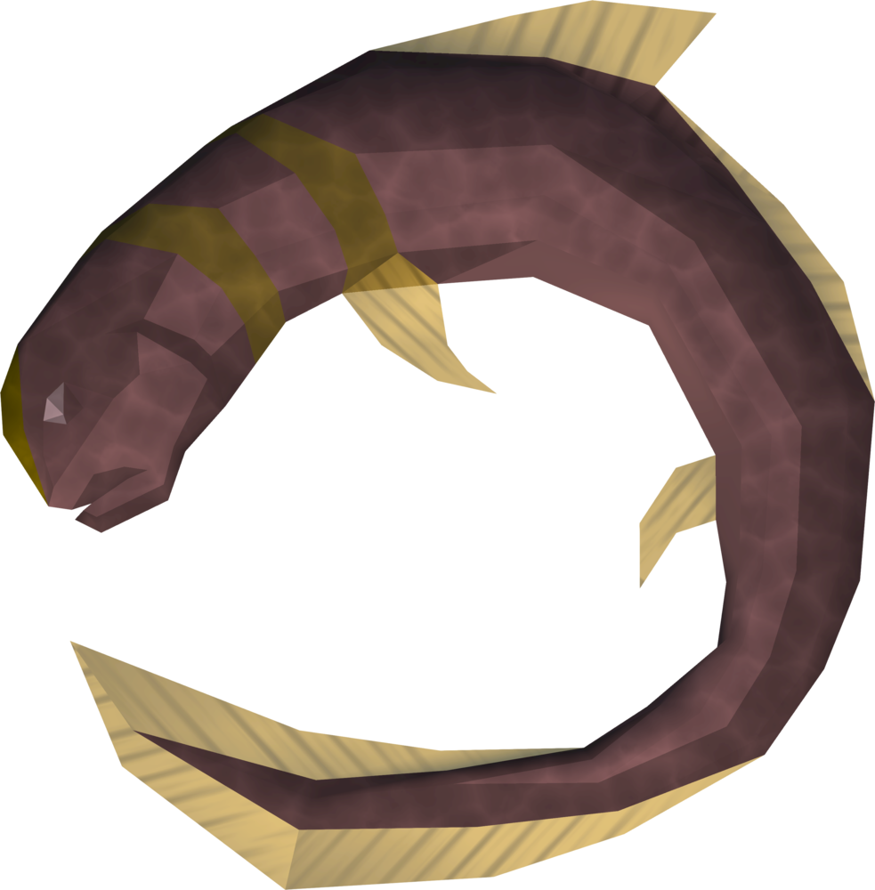 A Fish With A Gold Band