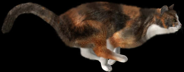 Running Cat With Transparent Background