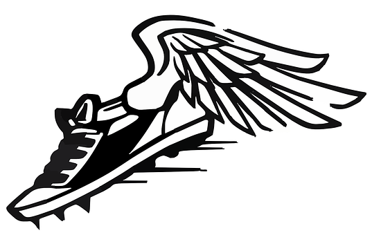 A Black And White Logo Of A Shoe With Wings