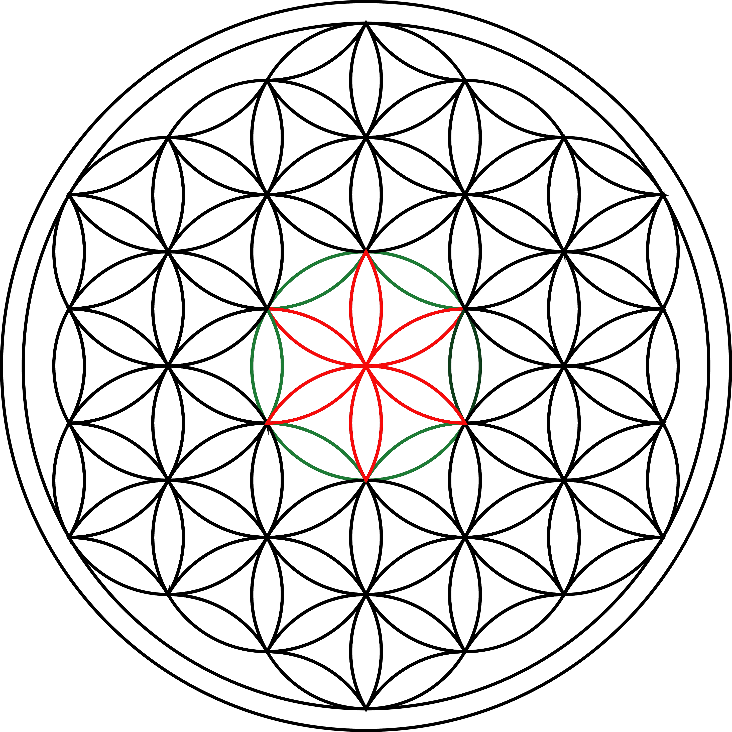 A Red And Green Flower Design On A Black Background