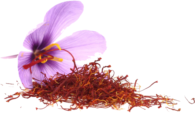A Pile Of Saffron Threads And A Flower
