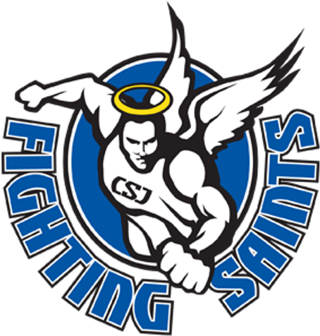 A Logo Of A Fighting Saints