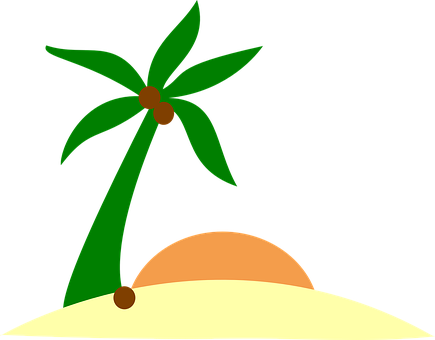 A Palm Tree On A Beach
