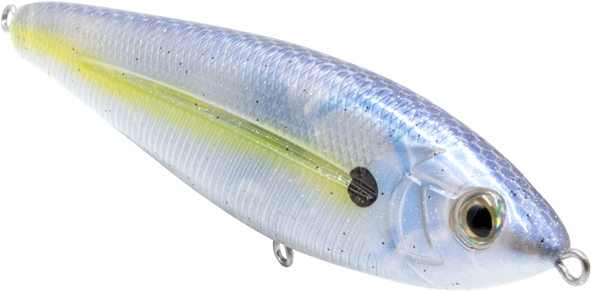 A Close Up Of A Fishing Lure