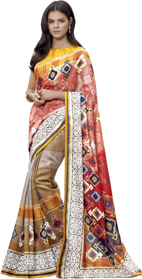 A Woman In A Colorful Sari
