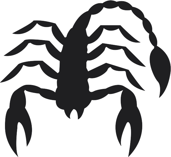 A Black Scorpion With Long Claws