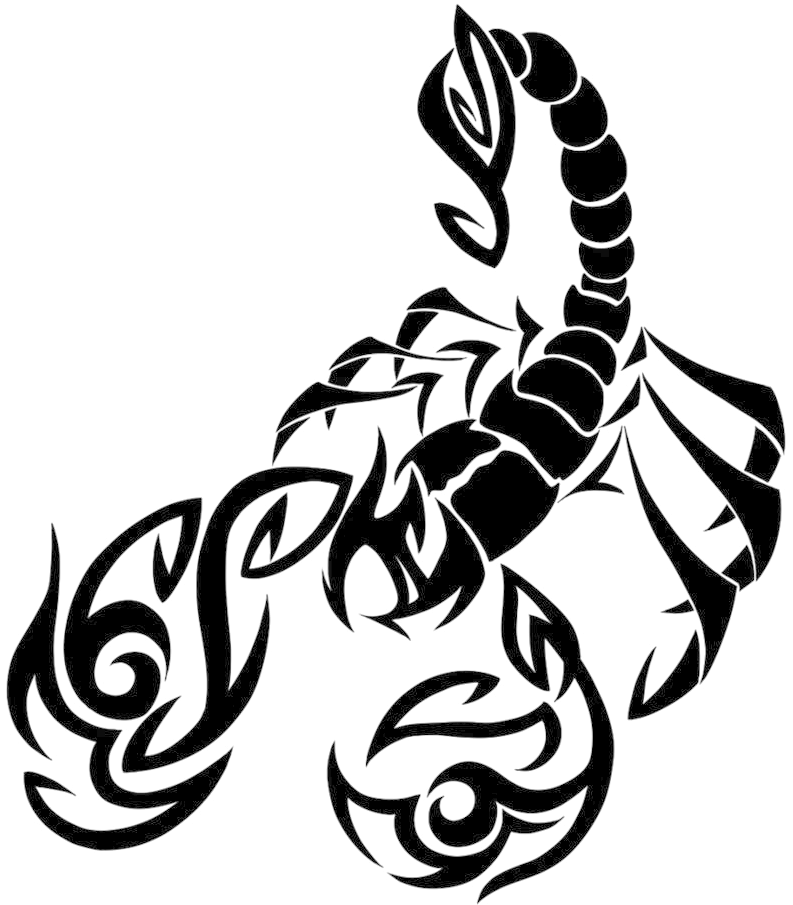 A Black And White Drawing Of A Scorpion