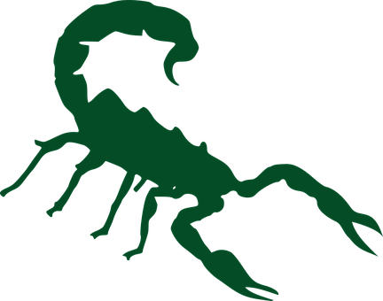 A Green Scorpion On A Black Background