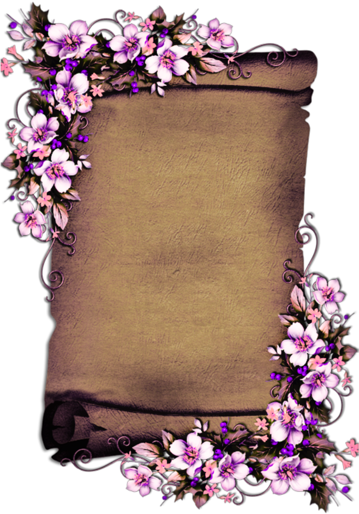 Scroll Paper Png 1166 X 1668