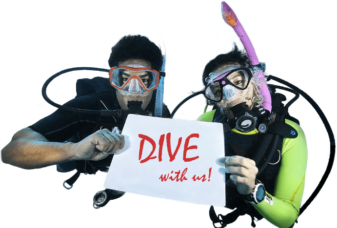 Scuba Diving - Scuba Diver Holding Sign, Hd Png Download