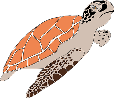 A Cartoon Of A Turtle