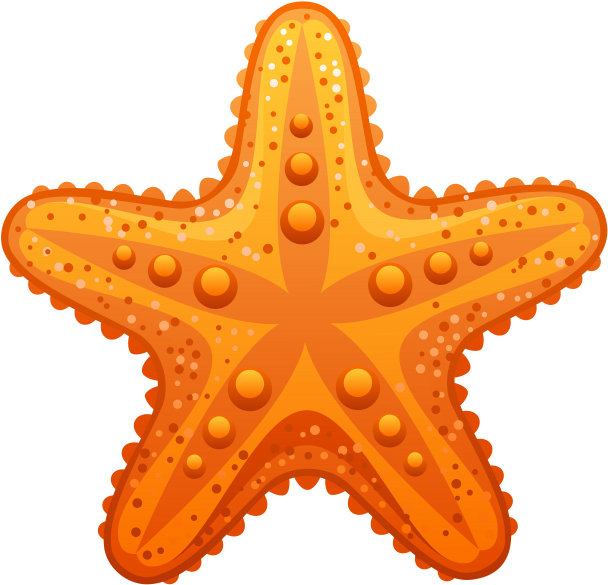 A Starfish With Many Dots