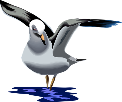 Seagull Png 406 X 340