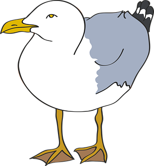 Seagull Png 316 X 340