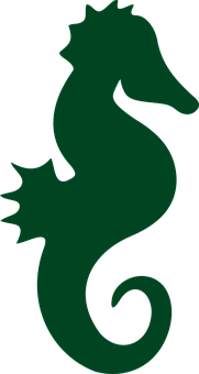 A Green Seahorse On A Black Background