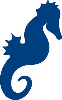 A Blue Seahorse On A Black Background