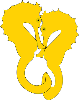 A Yellow Seahorses On A Black Background