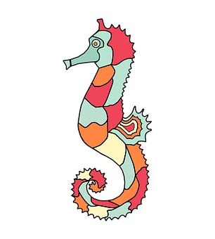 A Colorful Seahorse On A Black Background