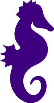 A Purple Seahorse On A Black Background