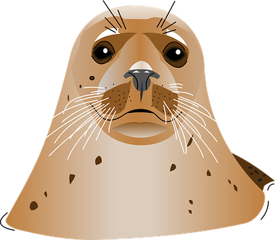 A Close Up Of A Seal