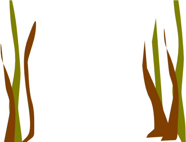 A Black Background With Brown And Green Plants