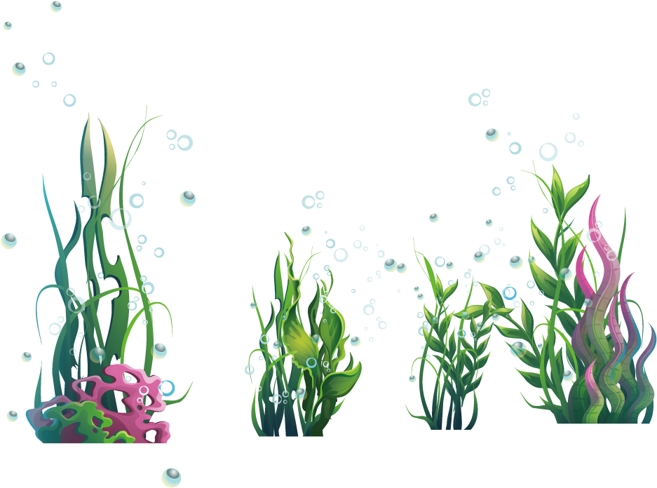 A Group Of Plants In The Water