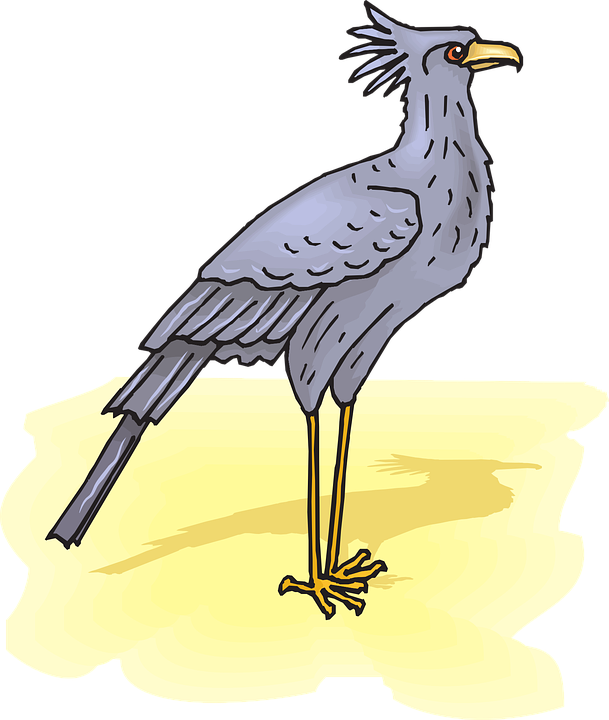 A Cartoon Of A Bird
