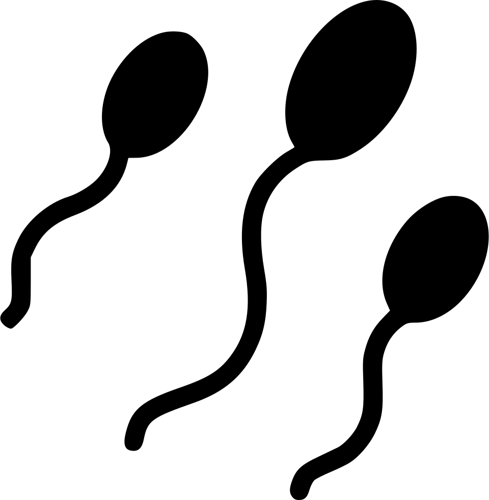 A Group Of Sperms