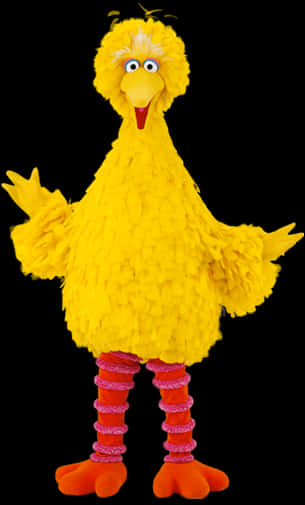 A Yellow Bird Garment With Pink And Red Socks