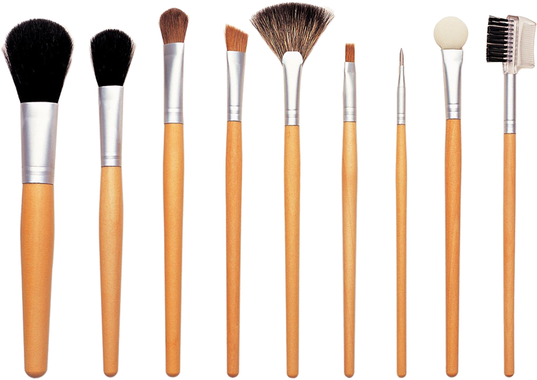 A Group Of Brushes With Different Sizes