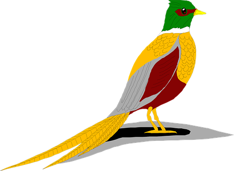 A Bird With A Colorful Head