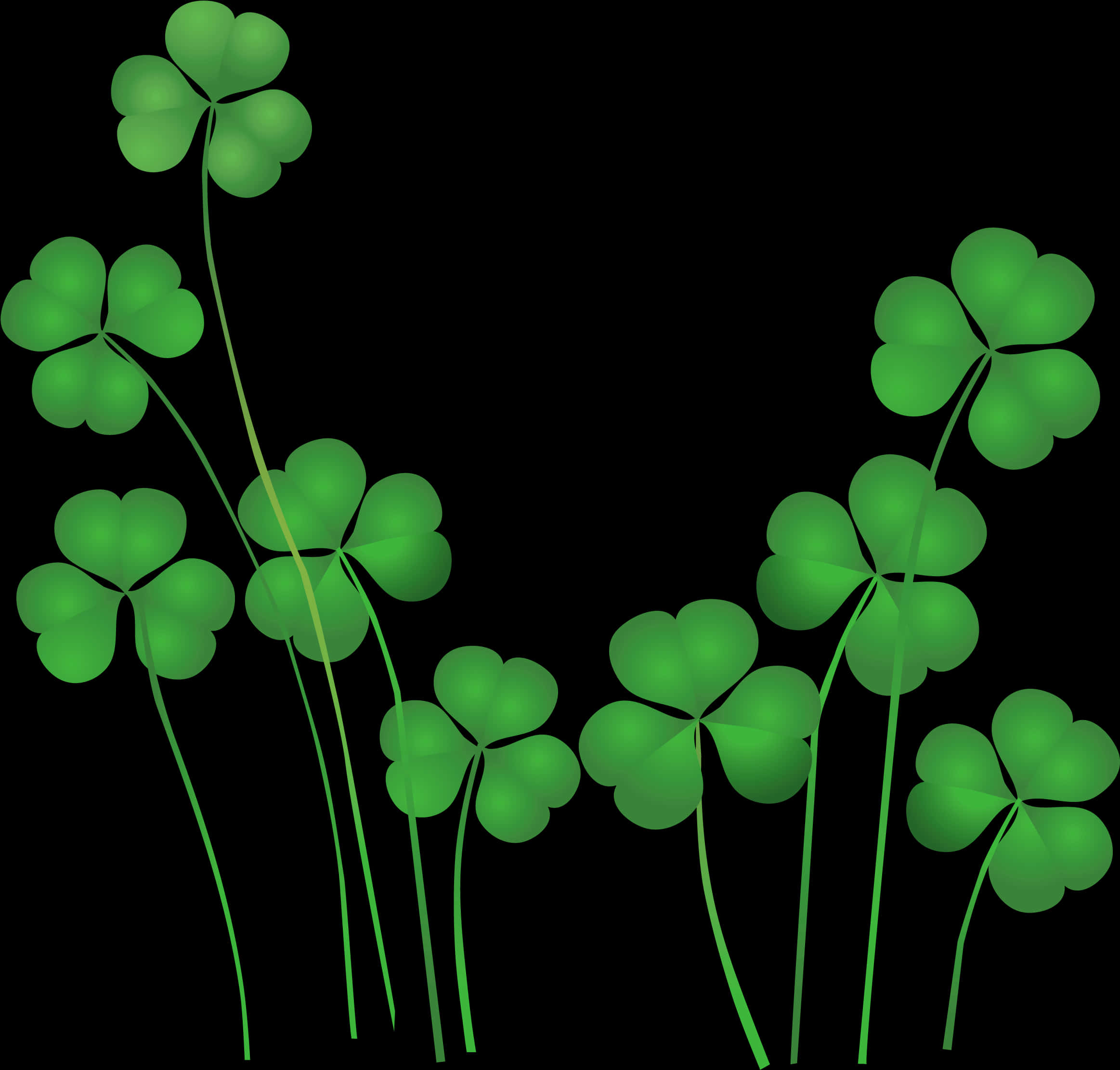 A Group Of Clovers On A Black Background