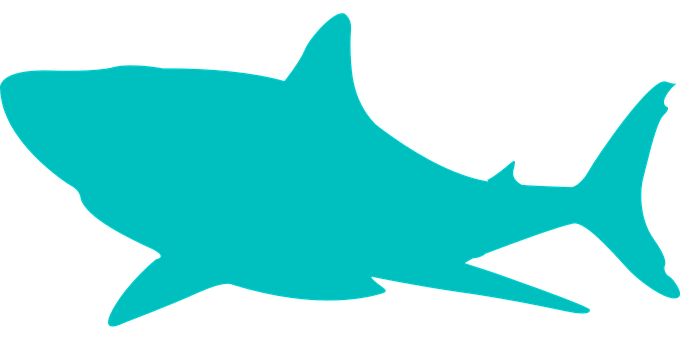 A Blue Dolphin Silhouette On A Black Background