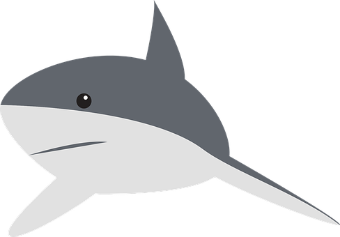 A Cartoon Of A Shark